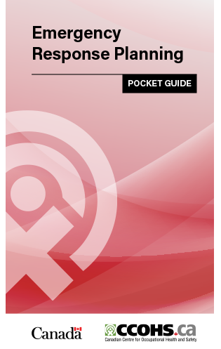 Thumbnail of the publication's cover