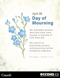 Day of Mourning poster