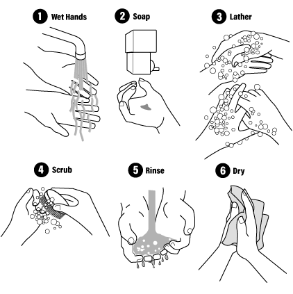 How can Hand Hygiene Prevent the Spread of Disease?