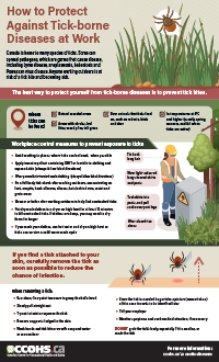 CCOHS: How to Protect Against Tick-borne Diseases at Work